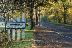Osteopath for Ashtead, Surrey
