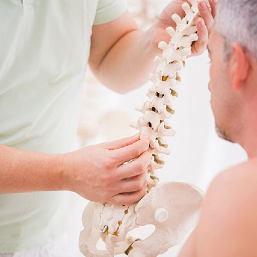 spine-demonstration-osteopathic-treatment