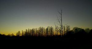 Osteopath in Tadworth, Surrey. Photo by Su May https://www.flickr.com/photos/su-may/15871468700